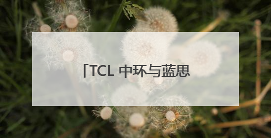 TCL 中环与蓝思新能源达成战略合作，共推绿色能源发展